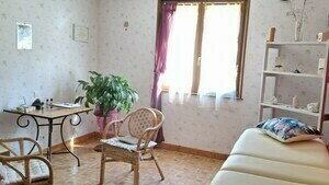 Éliane Couval Saint-Nabord, Professionnel indépendant