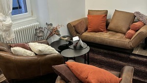 Lisa Schneider Saverne, Professionnel indépendant